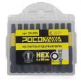 Маленькое фото товара - Магнитная ударная бита HEX 4x50мм (10 шт./уп) "РОСОМАХА". Вариант №1